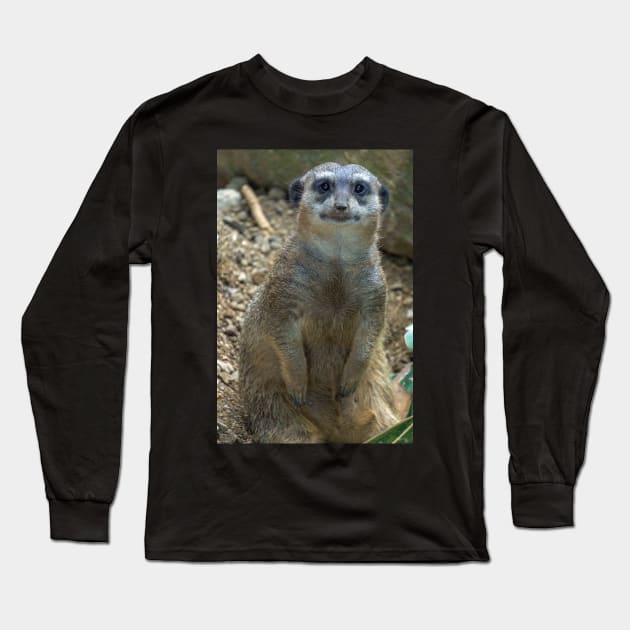 meerkat Long Sleeve T-Shirt by likbatonboot